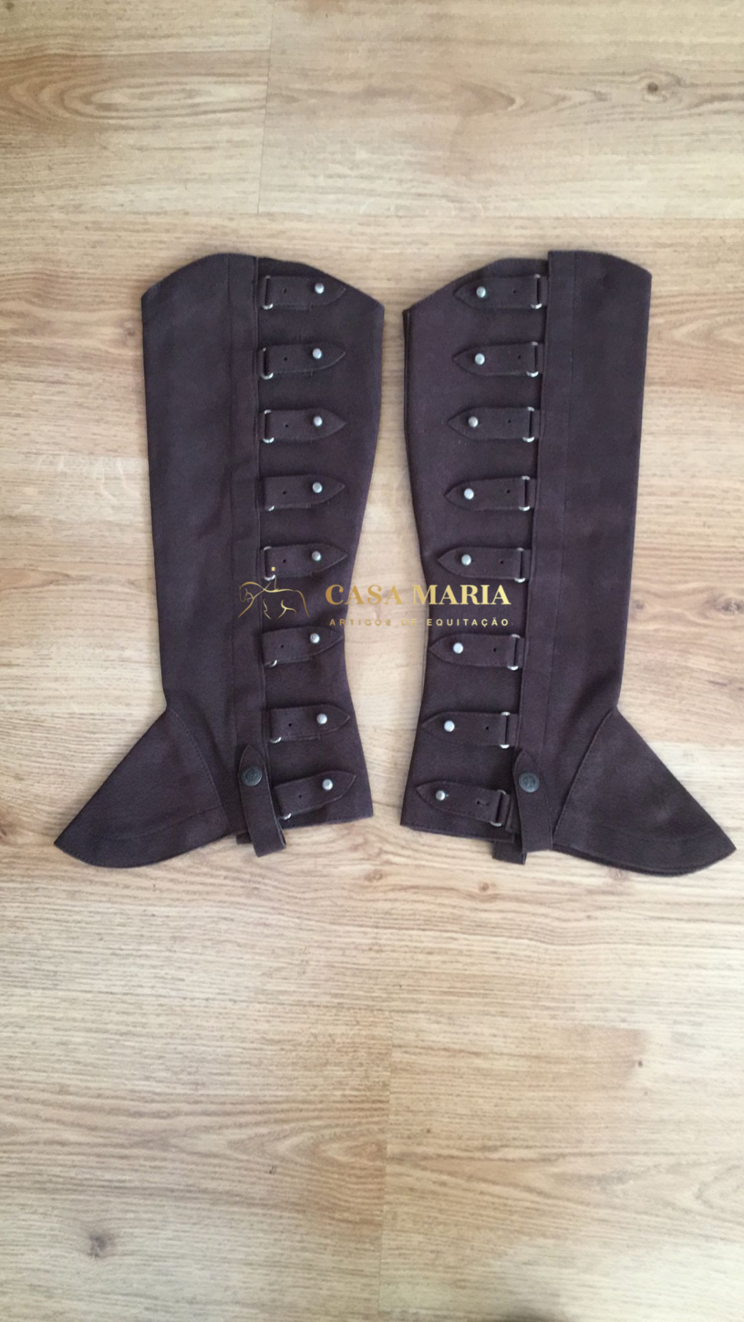 Polaina Portuguesa - Tipo Caça