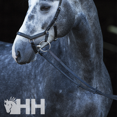 RÉDEAS HORSEWARE MICKLEM COMPETITION BRIDLE