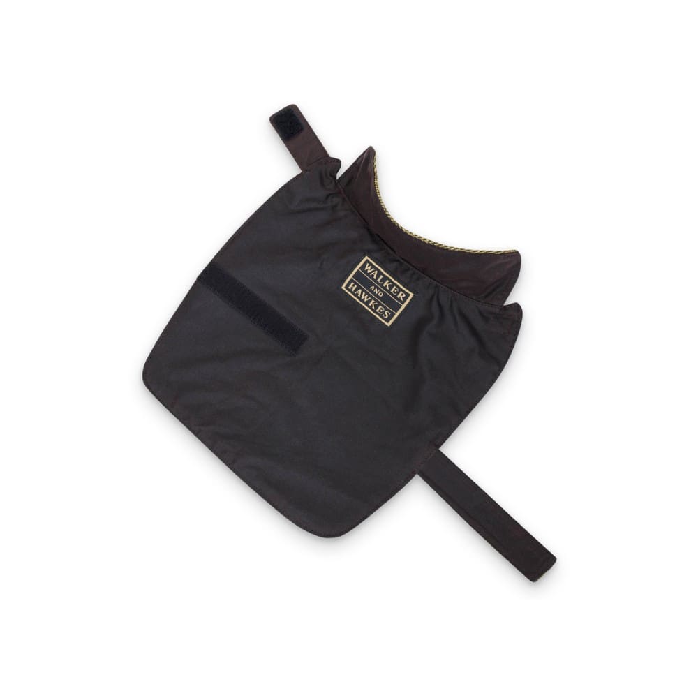 COBREJÃO DERBY TWEED ALFIE PARA CÃO - LIGHT SAGE