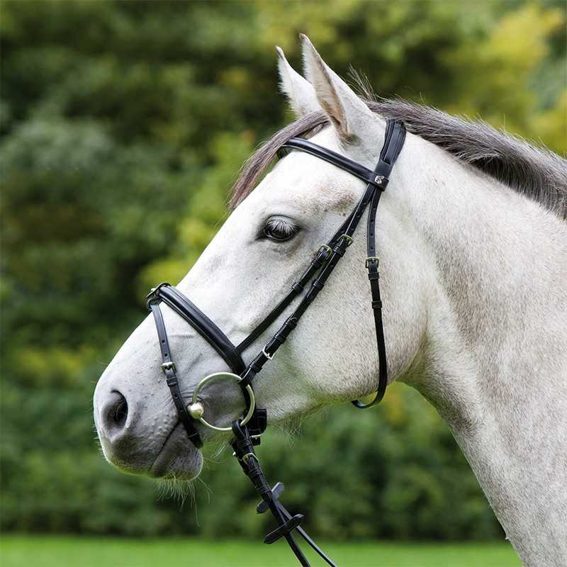 Cabeçada para bridão Kieffer Anja Beran
