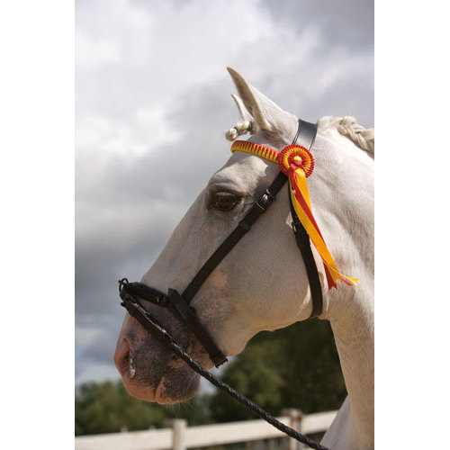 CABEÇADA PRESENTLOROS LUDRESSAGER COURO COM SERRETA TESTEIRA CORES SORTIDAS