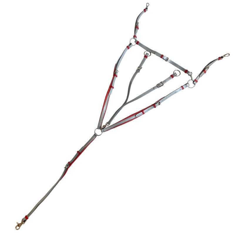 Conjunto para endurance