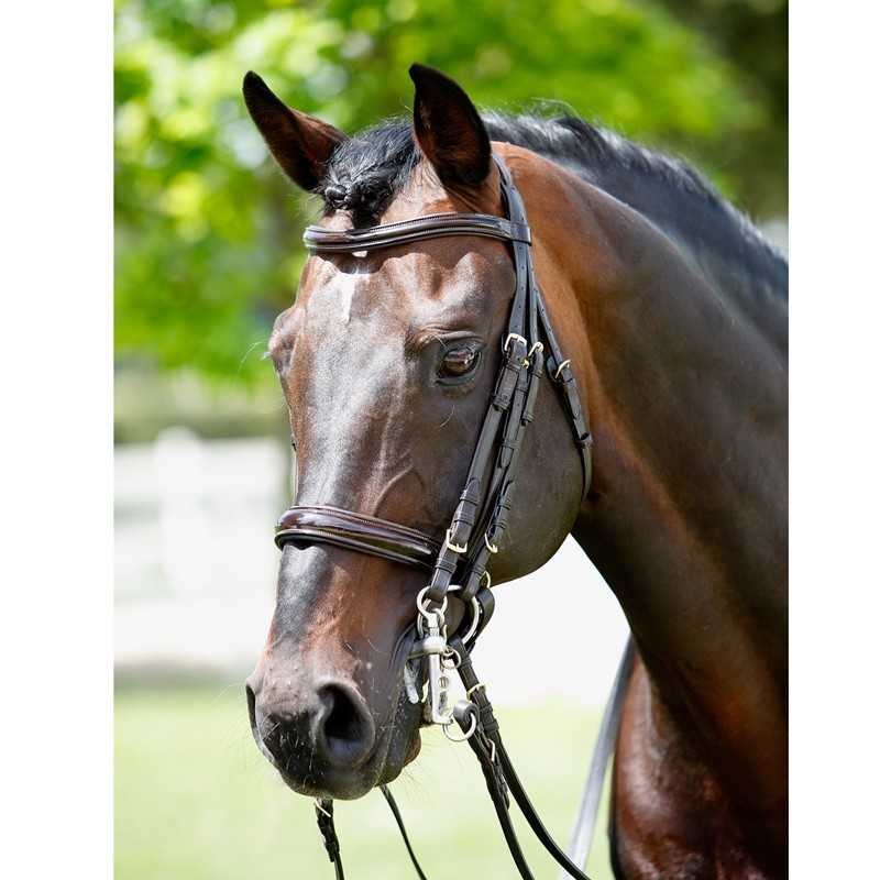 Cabeçada Tattini para freio e bridão em couro envernizado
