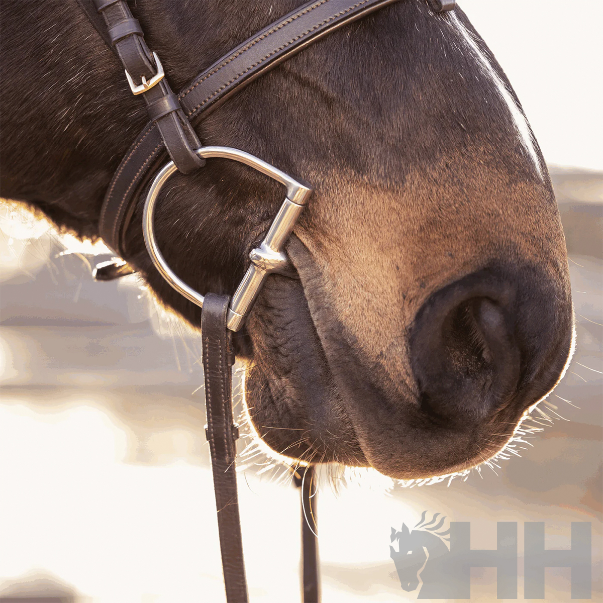 BRIDÃO SPRENGER BASIC ARGOLA D 80mm BIPARTIDO