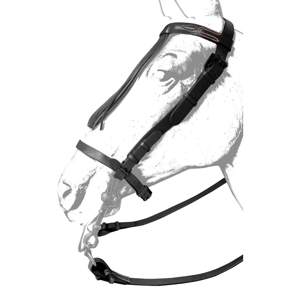 CABEÇADA VAQUEIRA COURO ANCHO