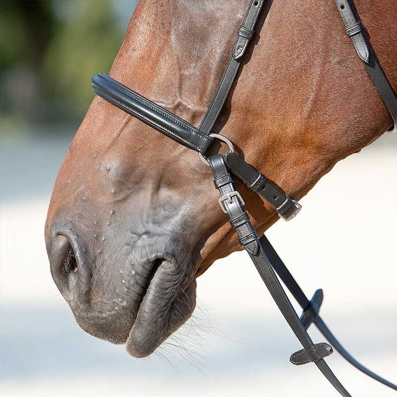 Cabeçada Kieffer bitless bridle Ultrasoft Kendra