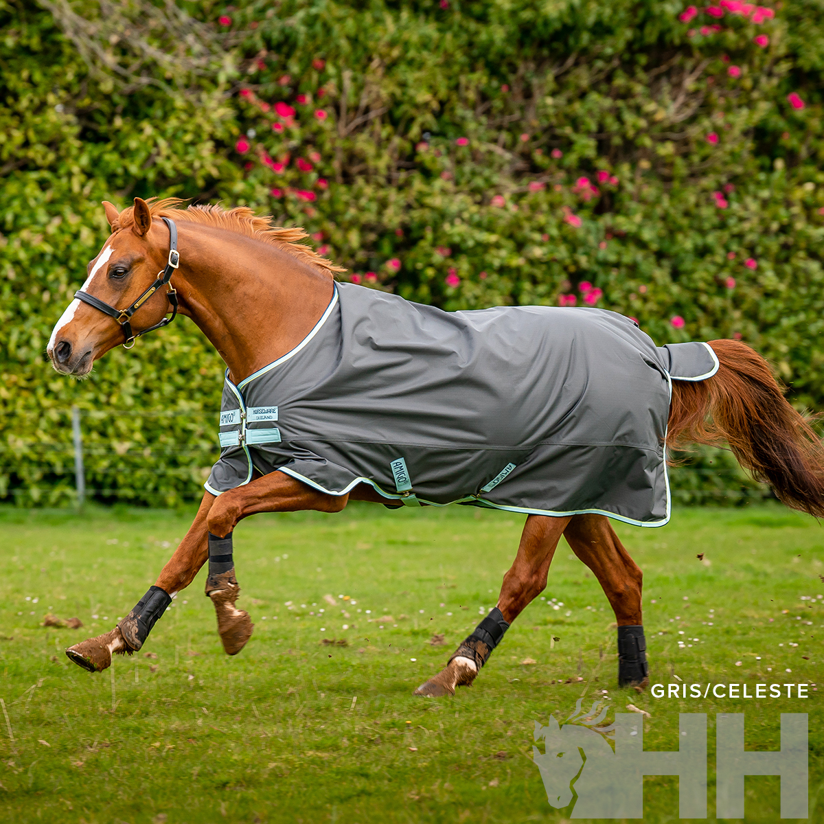 COBREJÃO AMIGO HERO 600 EXTERIOR EXTRA LIGHT (50g)