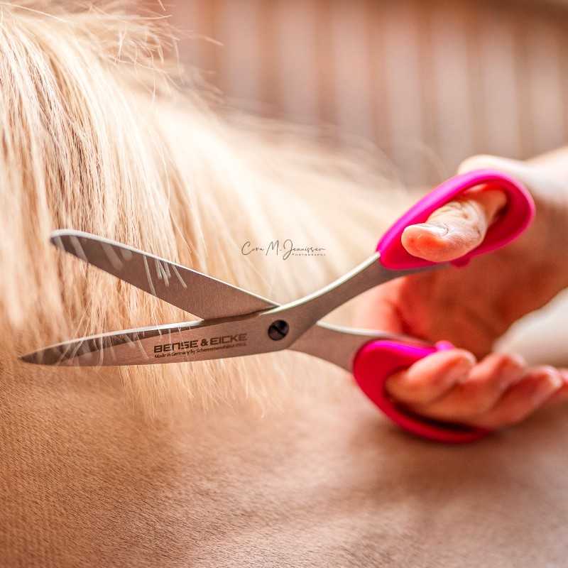 Tesoura para rabada e  CRINA SchnittBerta B&E