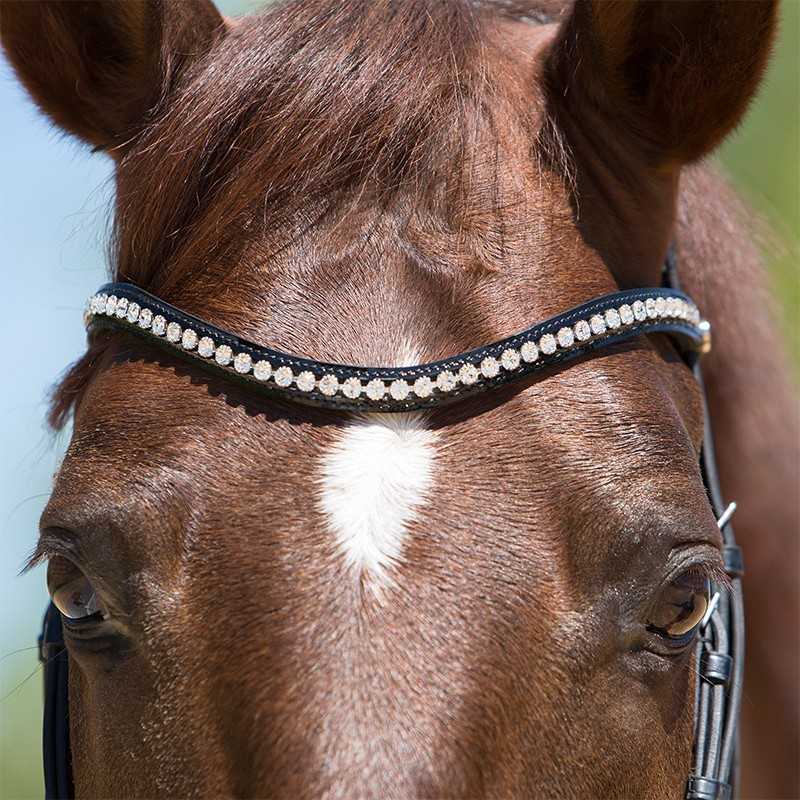 Cabeçada Kieffer para bridão Lea