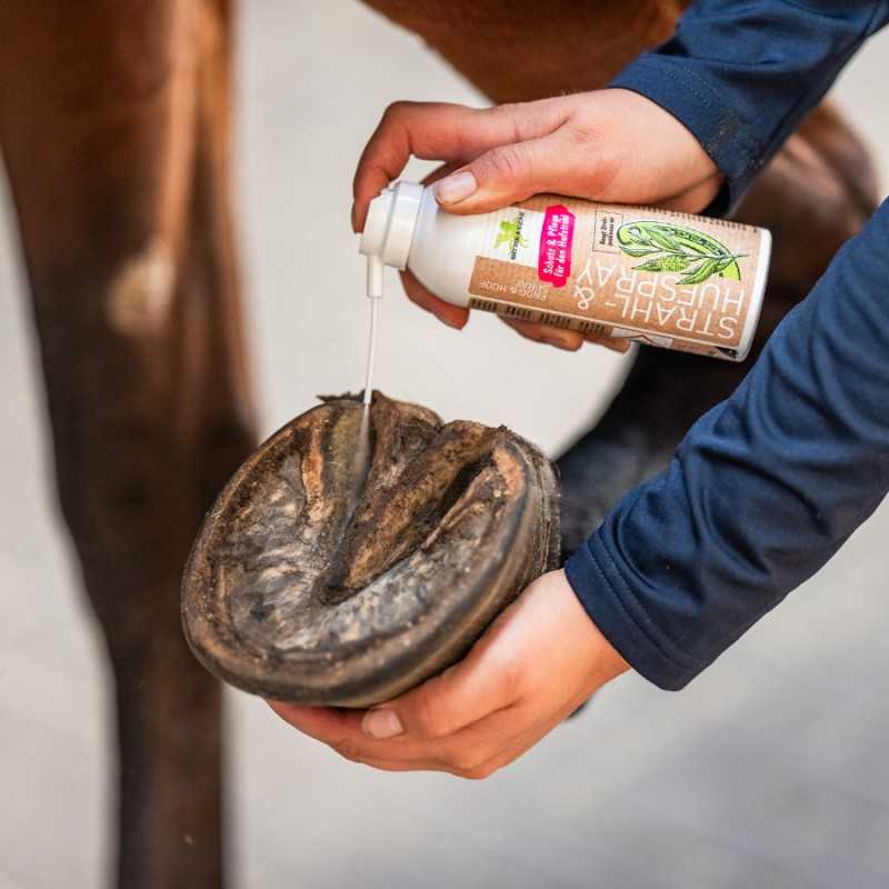 Mão aplica spray branco em casco de cavalo