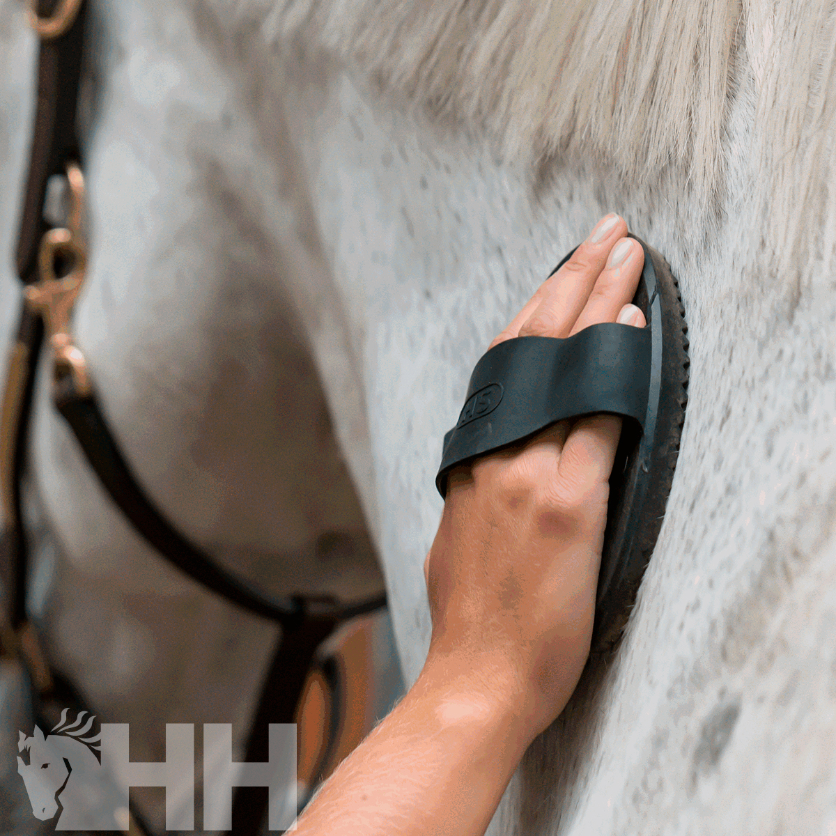 Mão com escova preta a escovar pelo branco de cavalo com arreios castanhos ao fundo