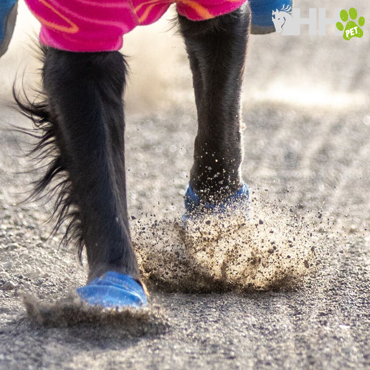 SAPATILHAS CAMINHADA RUFFWEAR PARA CÃES HI & LIGHT (PAR)