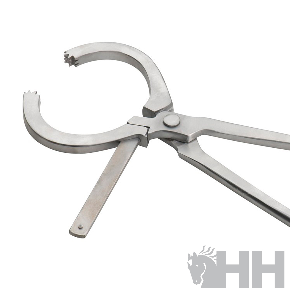 Alicate metálico prateado com mandíbula circular e dentes, alças longas, fundo branco