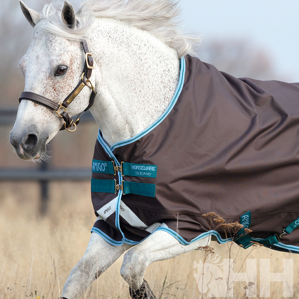 COBREJÃO AMIGO BRAVO 12 PÓNEI EXTERIOR CHUVA (0g)