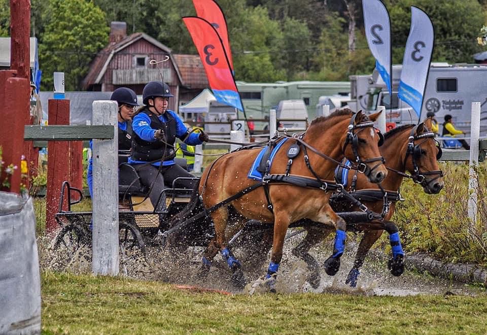 Arreios de Atrelagem EuroTech Classic  IDEAL