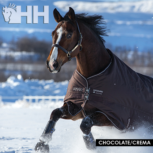 cavalo com cobertor castanho em fundo nevado e logo HH