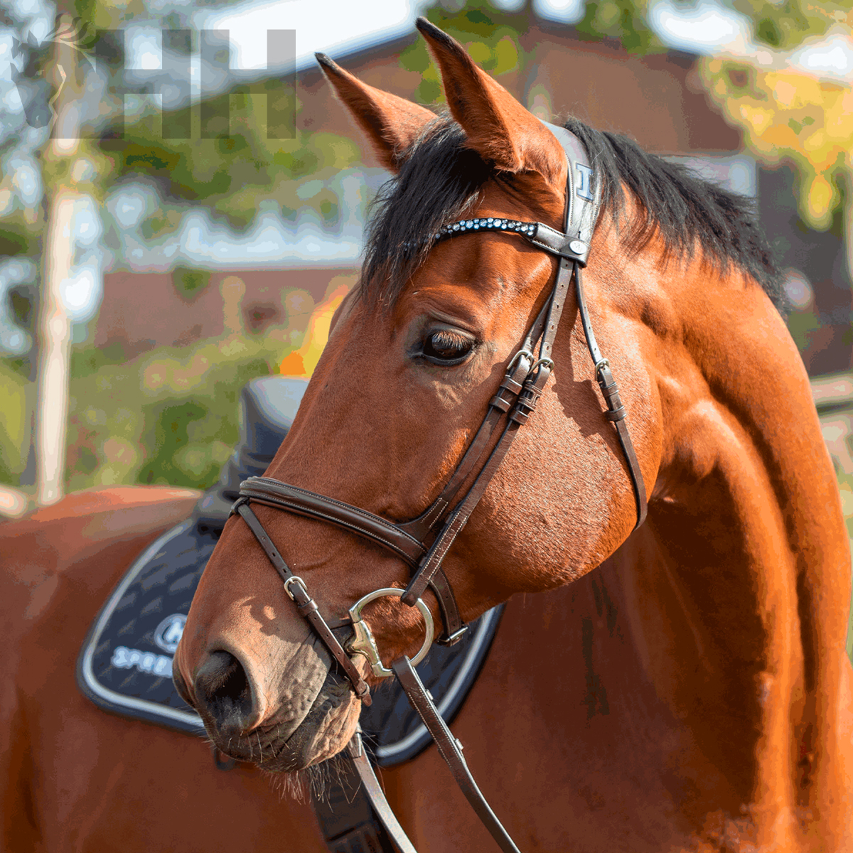 BRIDÃO SPRENGER NOVOCONTACT OLIVA ARGOLA D 65mm BIPARTIDO
