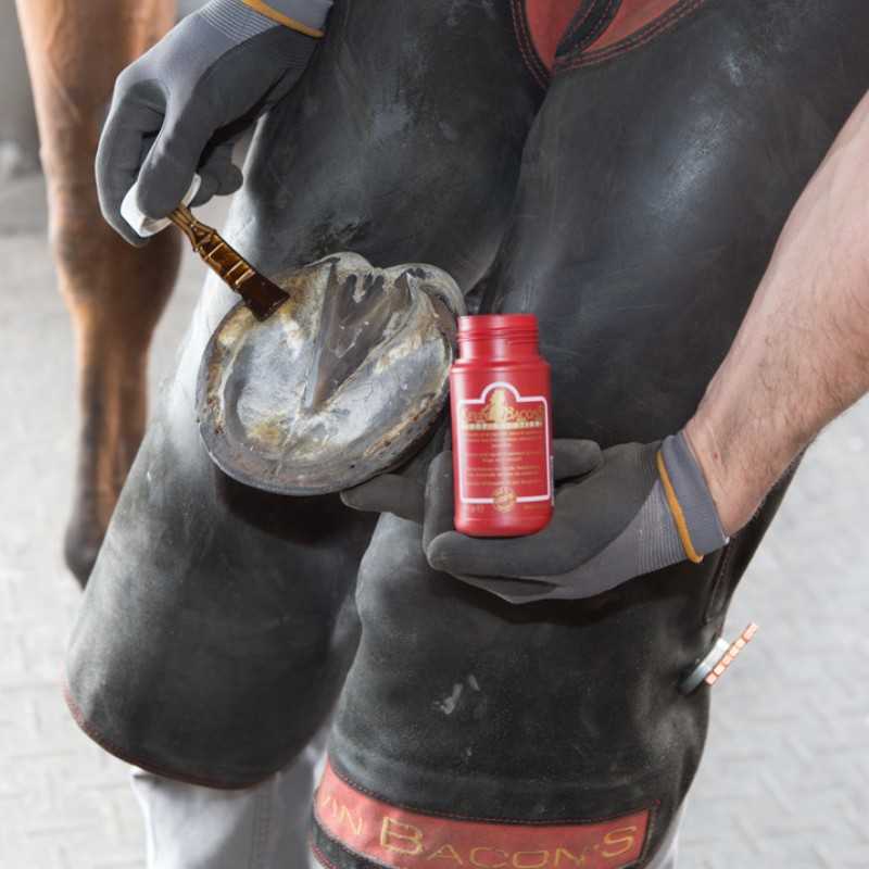 KEVIN BACON'S HOOF SOLUTION PARA O TRATAMENTO DA RANILHA