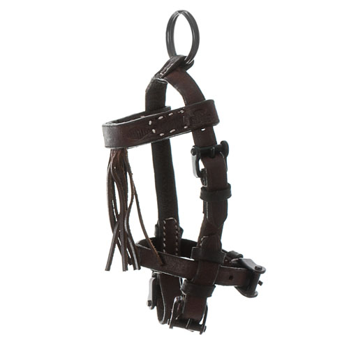 CABEÇADA VAQUEIRA MINIATURA HH