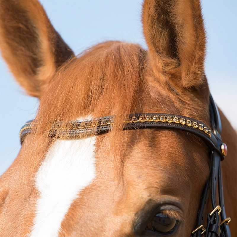 Cabeçada Kieffer para bridão Comfort Paris II