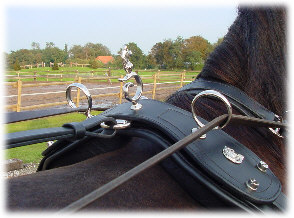 Arreios de Atrelagem Friesian  IDEAL