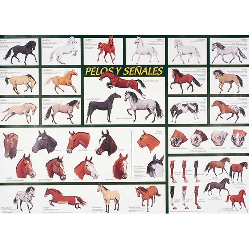 QUADRO POSTER PELAGENS