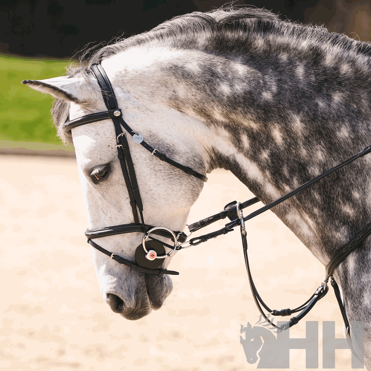 BRIDÃO SPRENGER NATHE ELEVADOR ARGOLA 70mm