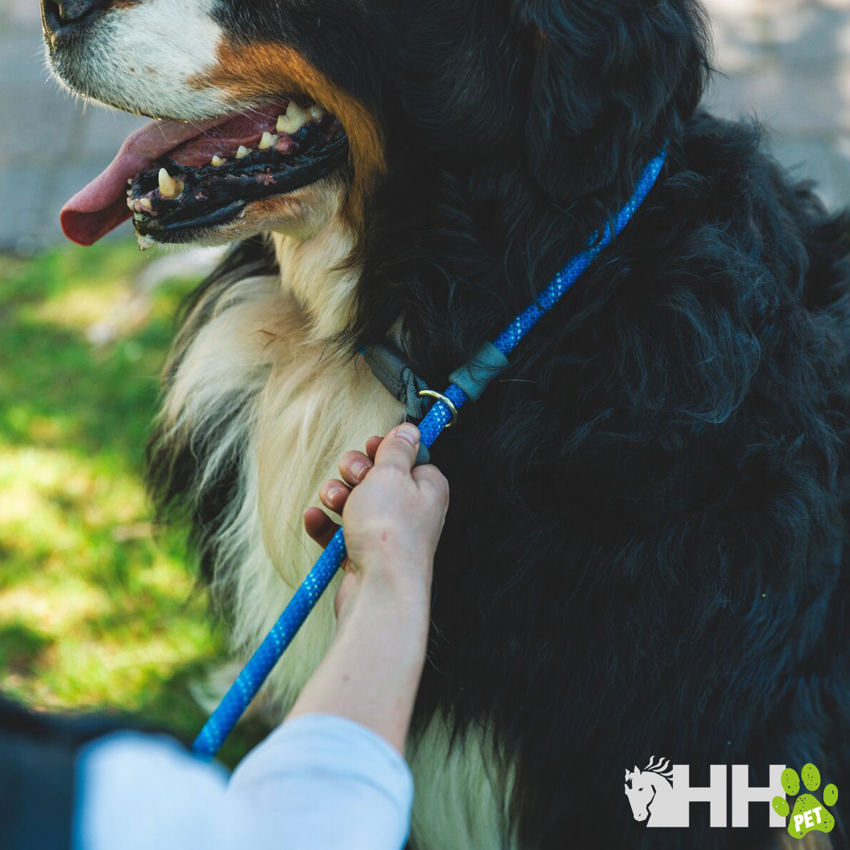 TRELA RUFFWEAR PARA CÃES JUST-A-CINCH (NEW)