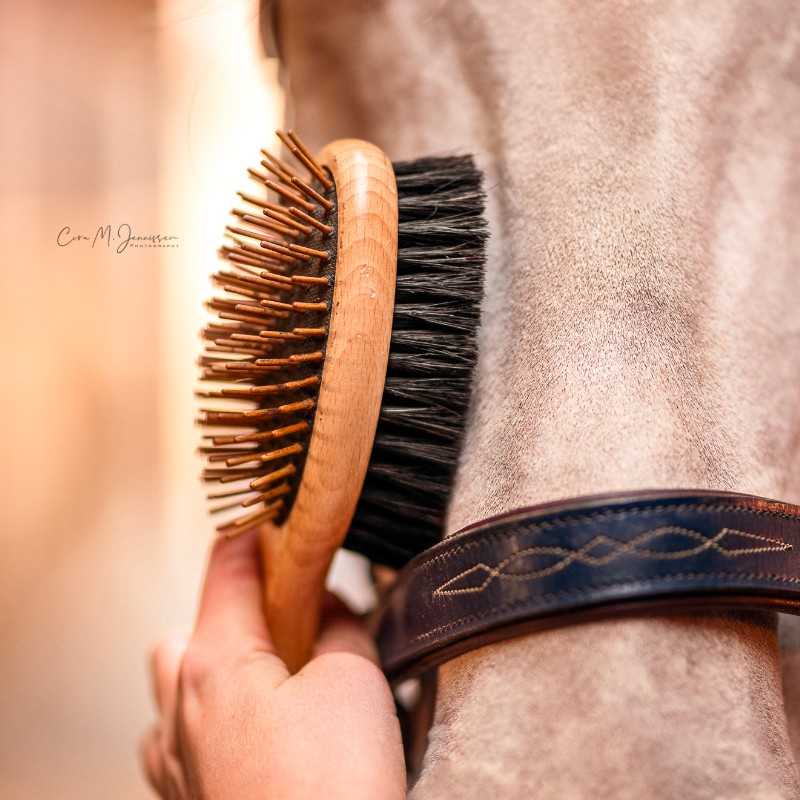 Escova rabada e crina B&E KämmLotte