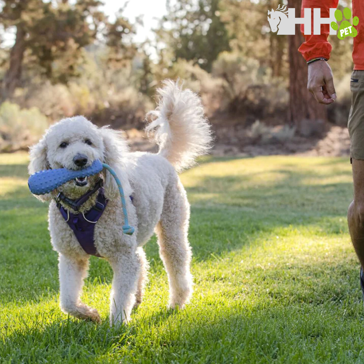 BRINQUEDO PARA LANÇAR RUFFWEAR PARA CÃES GOURDO
