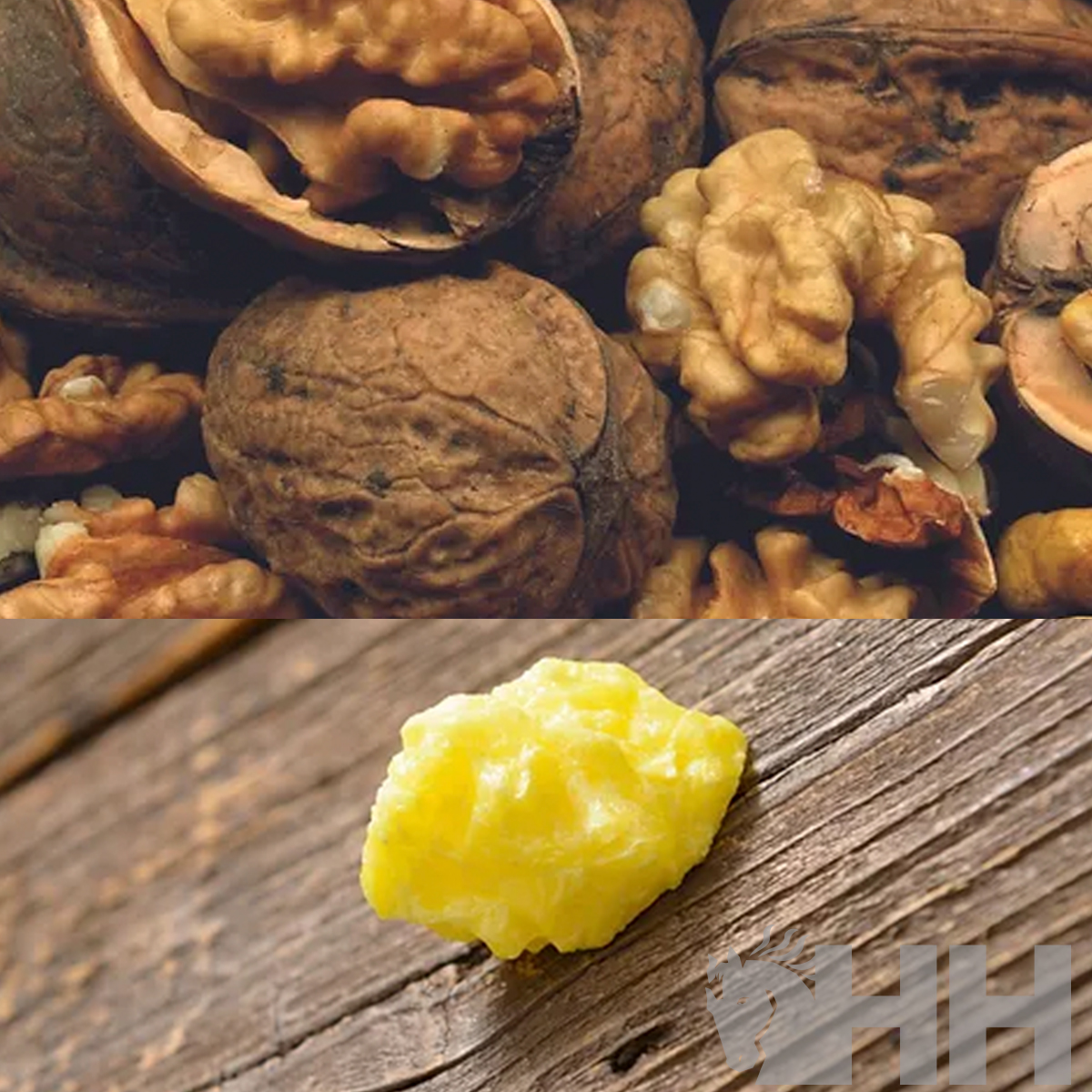 CHAMPÔ LEOVET POWER PARA CAVALOS DE PELAGEM ESCURA