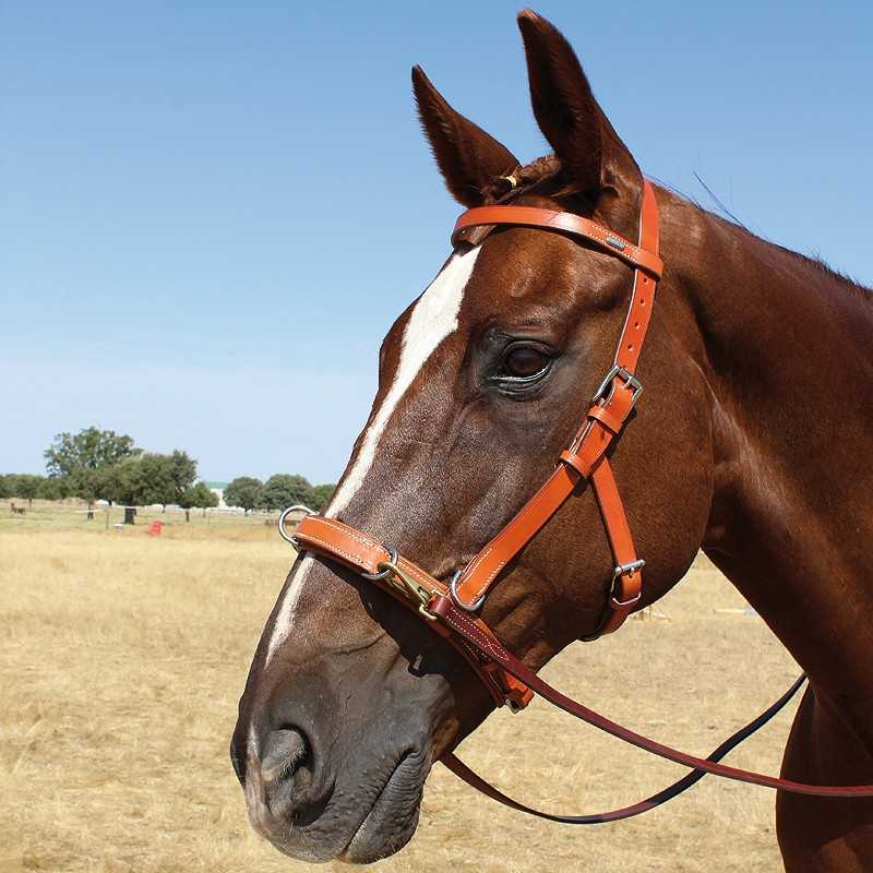 Cabeçada Viena sem francaletes  Marjoman