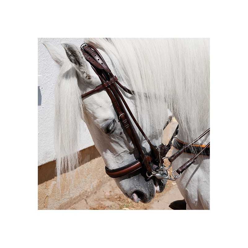 Cabeçada couro inglês com duas rédeas cosida em redondo