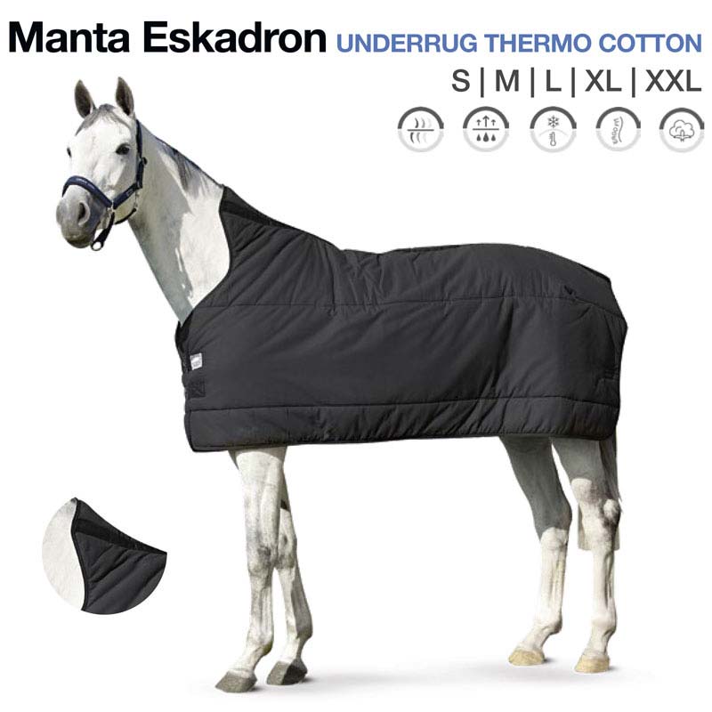 Cavalo branco com manta preta acolchoada para cavalo