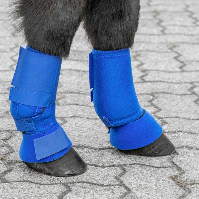 Pernas de cavalo com botas de proteção azuis ajustadas por velcro em piso de blocos de cimento