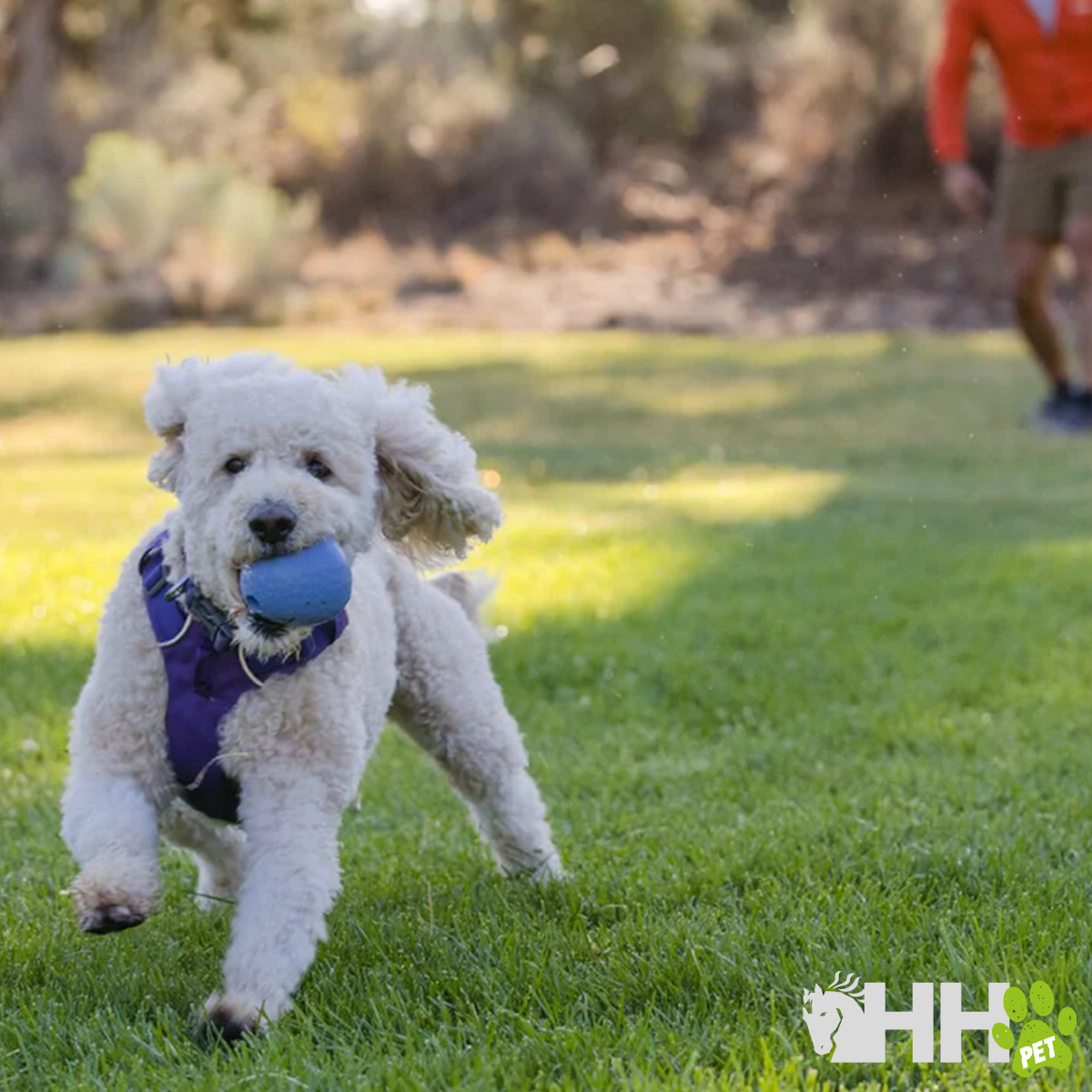 BRINQUEDO PARA LANÇAR RUFFWEAR PARA CÃES HUCKAMA