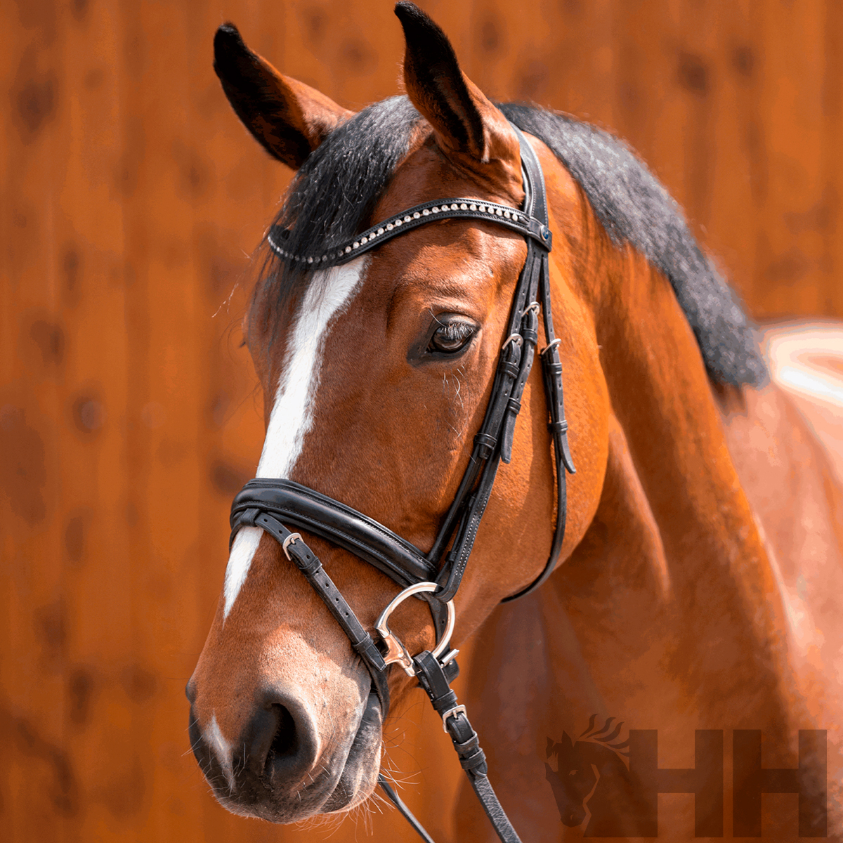 BRIDÃO SPRENGER DYNAMIC RS OLIVA ARGOLA D 65mm TRIPARTIDO