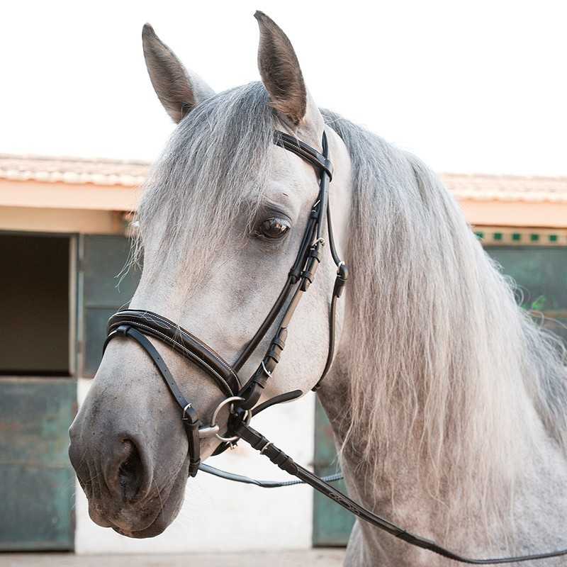 Cabeçada de couro inglês com rédeas de borracha
