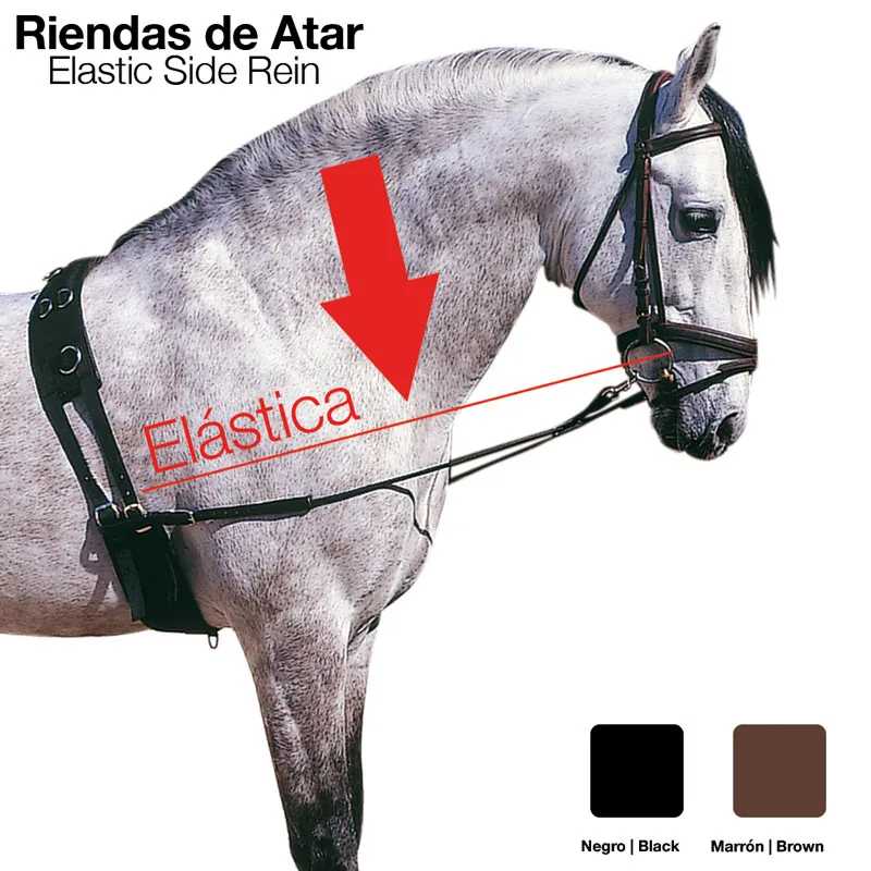 RÉDEAS FIXAS ELÁSTICO