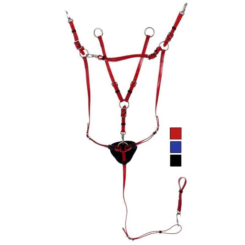 Peitoral DASLO EM PVC COM PONTE E GAMARRA