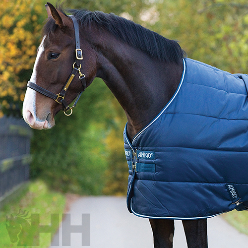 COBREJÃO AMIGO INSULATOR BOXE LIGHT (100g)