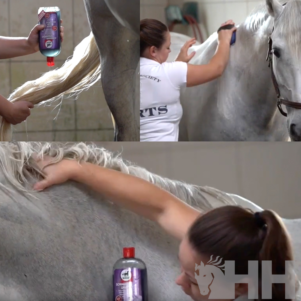 CHAMPÔ LEOVET BRANQUEADOR PARA CAVALOS RUÇOS