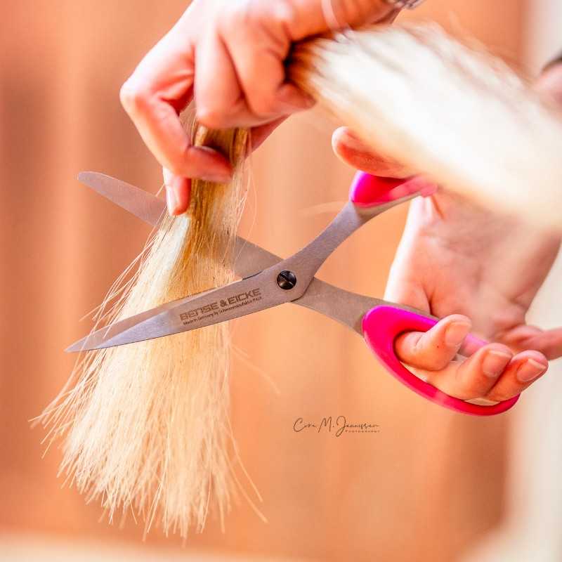 Tesoura para rabada e  CRINA SchnittBerta B&E