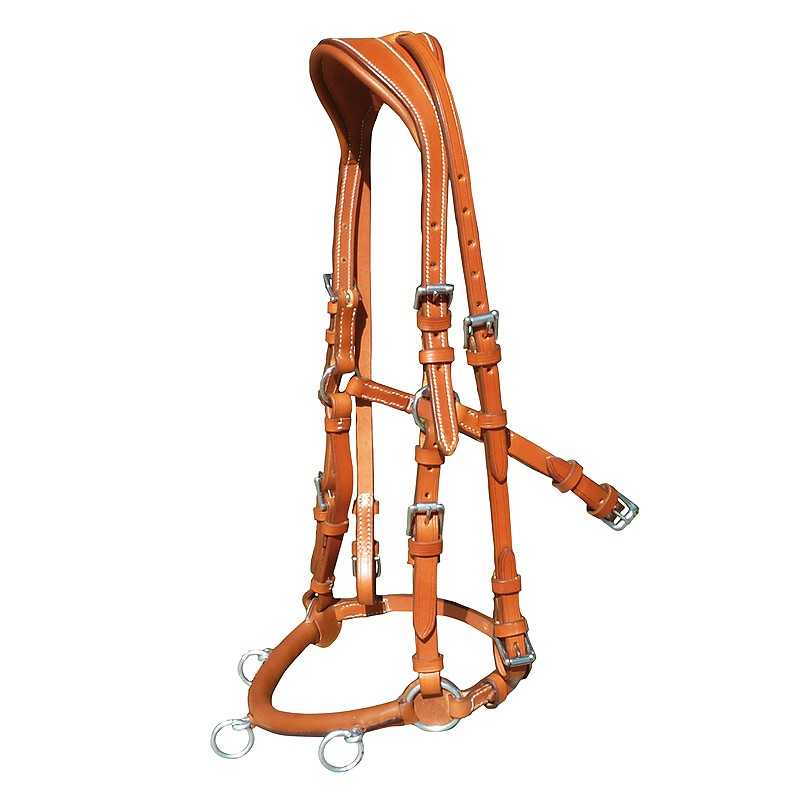 Cabeçada Carolina com faceira para embocadura Marjoman