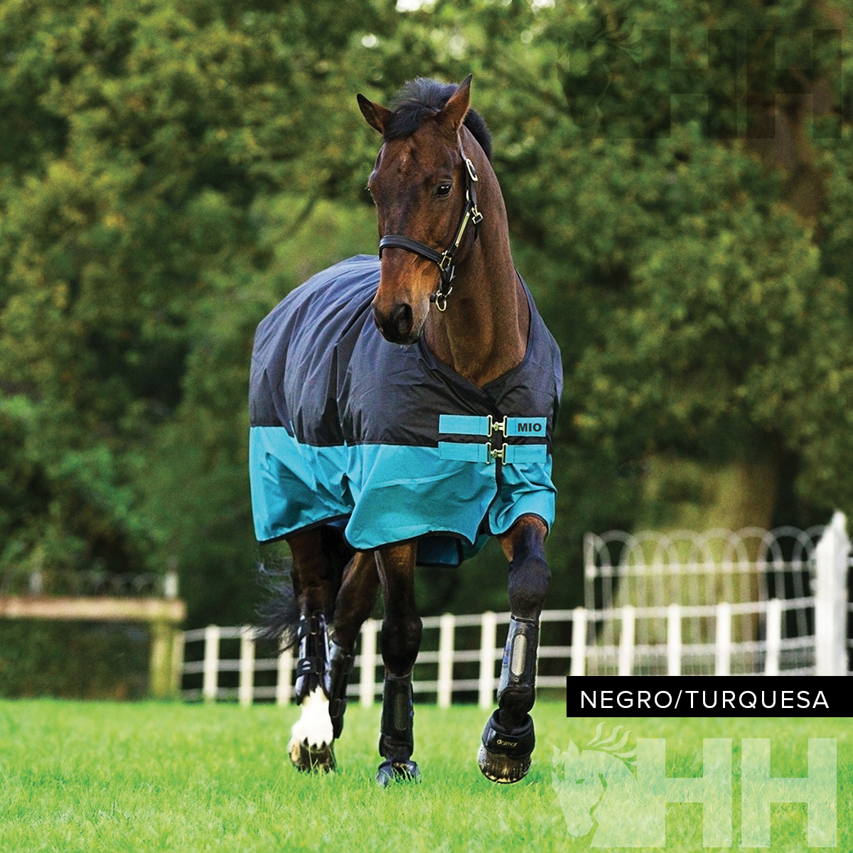 Cavalo com manta protetora preto e turquesa ao ar livre