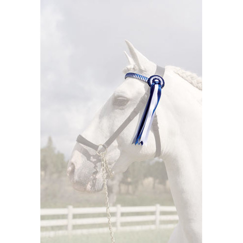 TESTEIRA PRESENTLOROS LUDRESSAGER COURO/TELA COM ROSETA