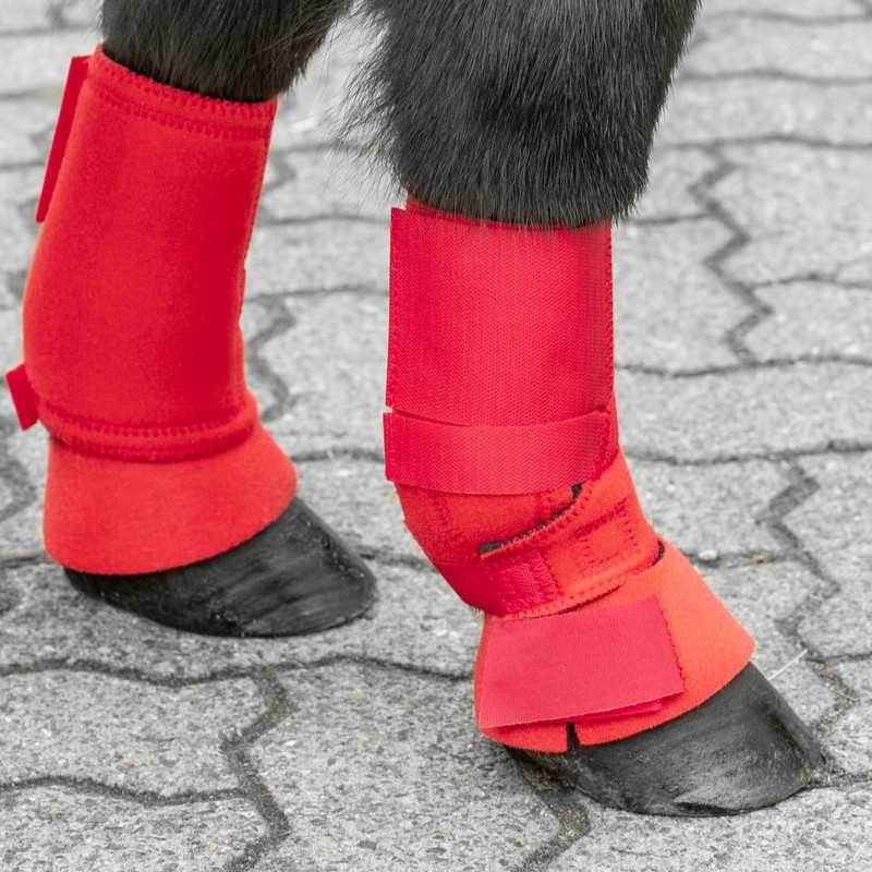 Proteções vermelhas nas patas de um cavalo em chão de pavê cinzento