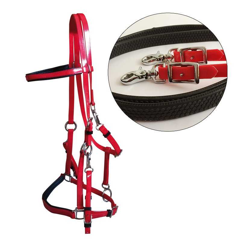 Cabeçada DE ENDURANCE