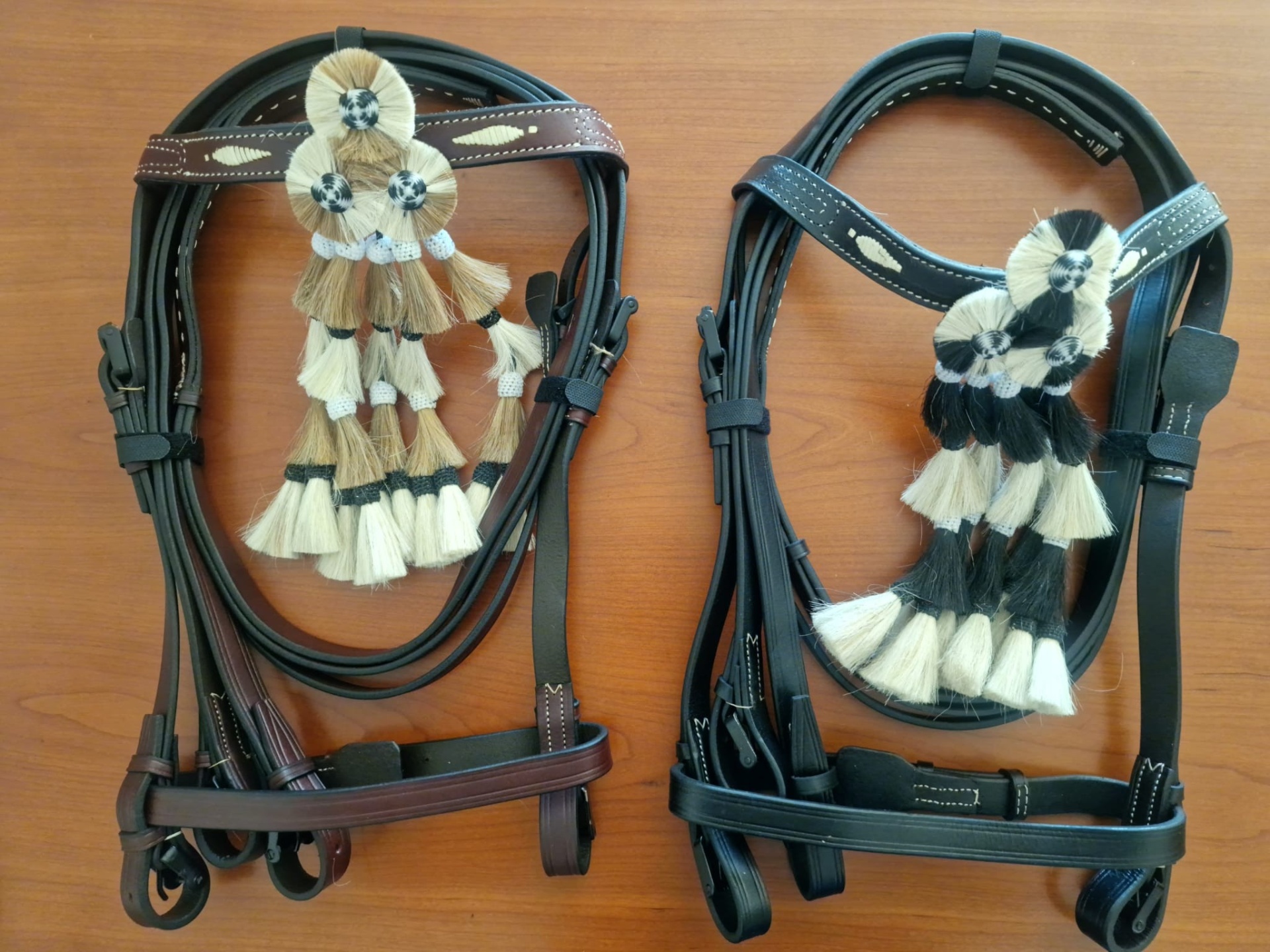 Cabeçada Espanhola com cisgola