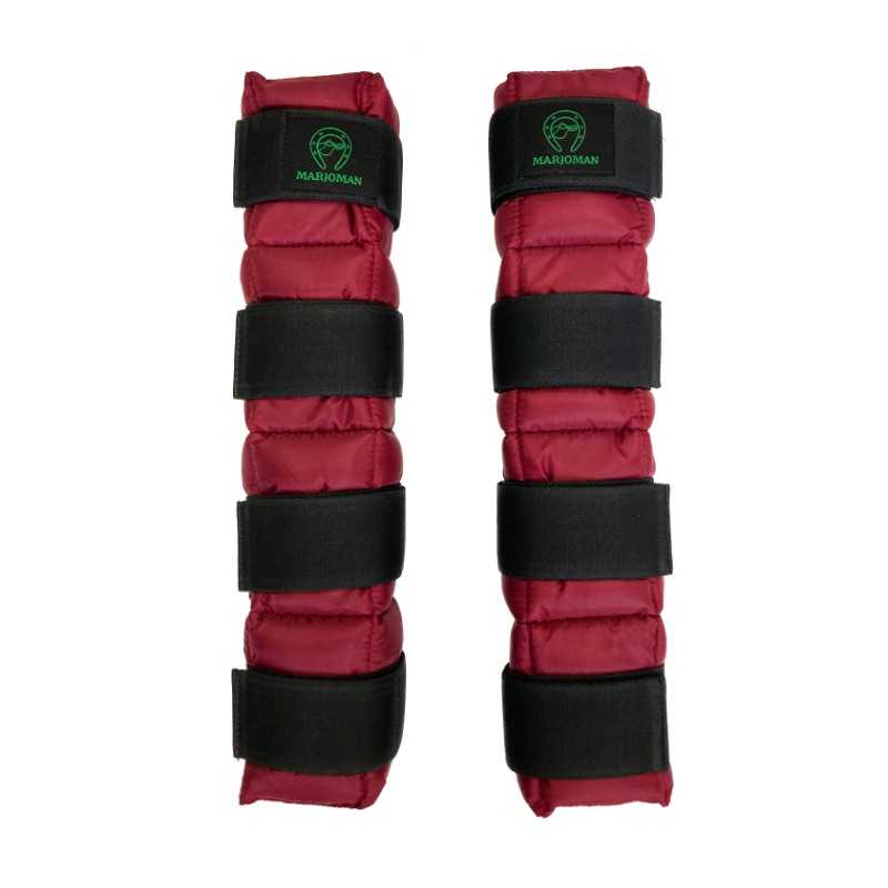 Protetores de Gelo - Conjunto de 2 peças - Ice Pack